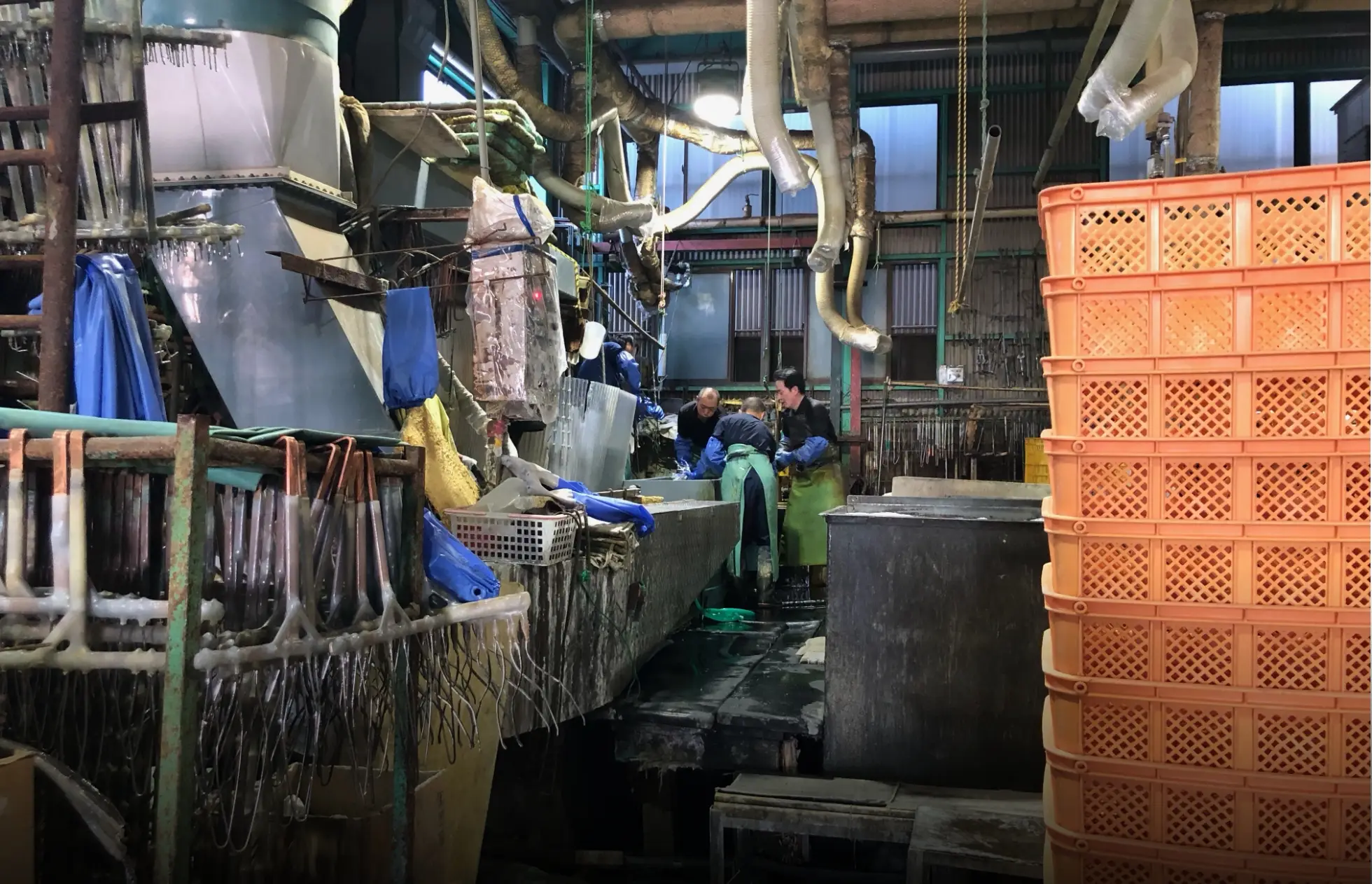 Top Visual